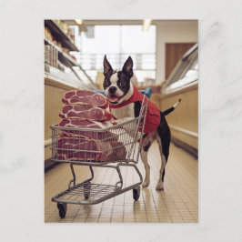Postal Adorable Boston Terrier Comprando Carne