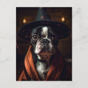 Postal Adorable Boston Terrier en Halloween