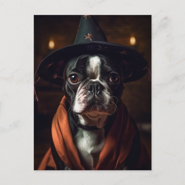 Postal Adorable Boston Terrier en Halloween (Anverso)