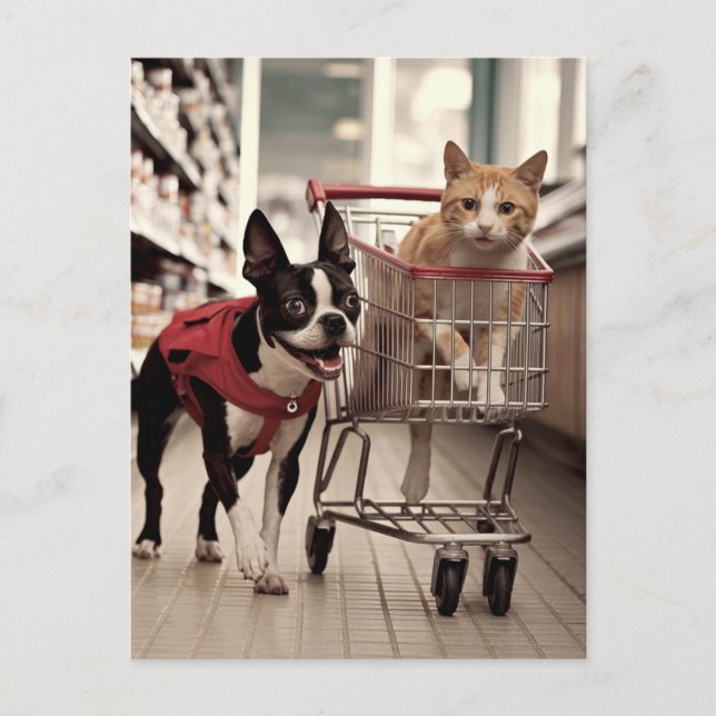 Postal Adorable Boston Terrier y compras de gatos de jeng (Anverso)