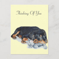 adorable cachorro de rottweiler perro adormecido d