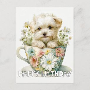 Postal Adorable Cachorro En Una Taza De Té