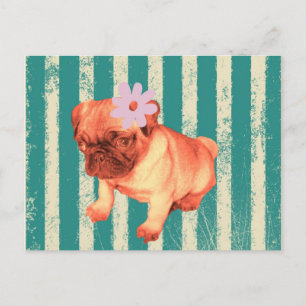 Postal adorable cachorro margarita rayas verdes triste pu