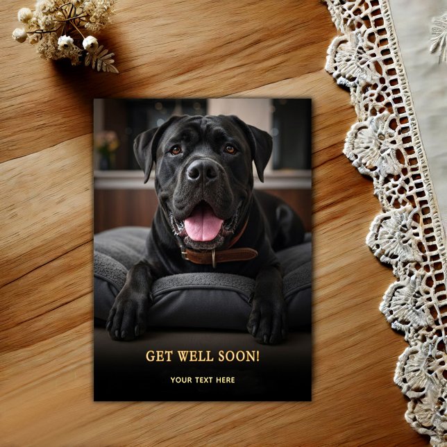 Postal Adorable Cane Corso Mejora  (Subido por el creador)