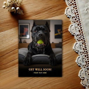 Postal Adorable Cane Corso Mejora 