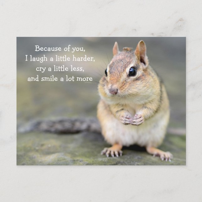 Postal Adorable Chipmunk con cita de amistad (Anverso)