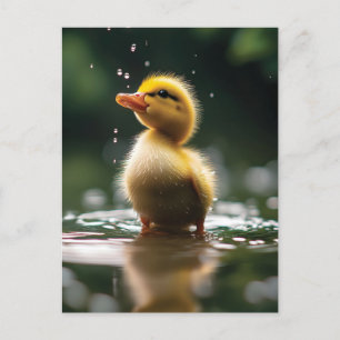 Postal "Adorable duckling in the Rain