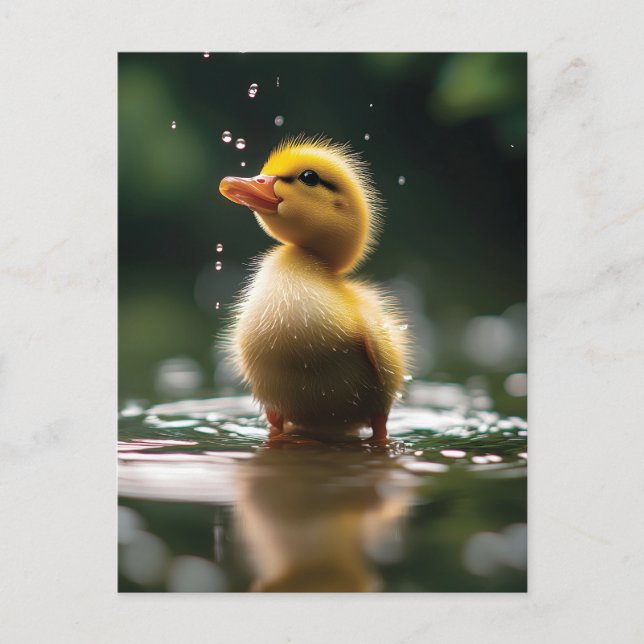Postal "Adorable duckling in the Rain (Anverso)