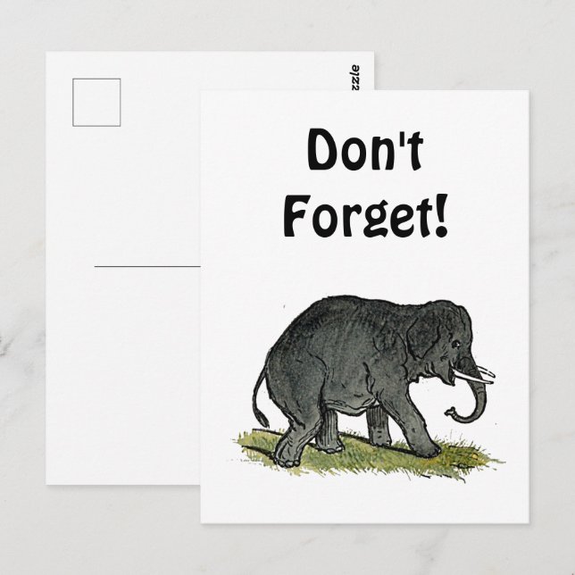 Postal Adorable elefante Personalizado, gracioso amigo de (Anverso / Reverso)