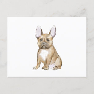 Postal Adorable french bulldog puppy
