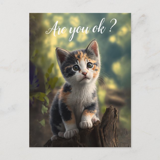 Postal Adorable Gatito Calico Está Preocupado (Anverso)