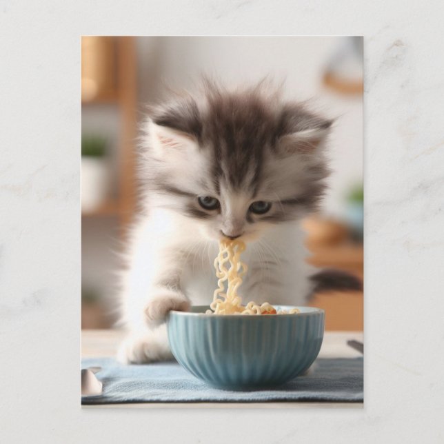 Postal Adorable Gatito Fluffy Comer Fideos De Ramen (Anverso)