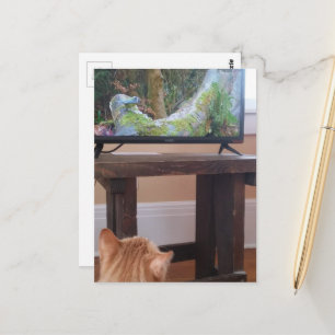 Postal adorable gatito ginger viendo TV