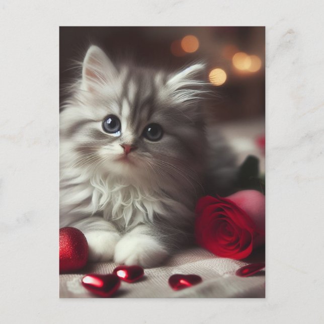 Postal Adorable gatito gris esponjoso para San Valentín (Anverso)