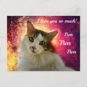 Postal Adorable Gato Atigrado Calico Lindo