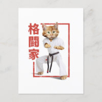 Adorable Karate Kitten