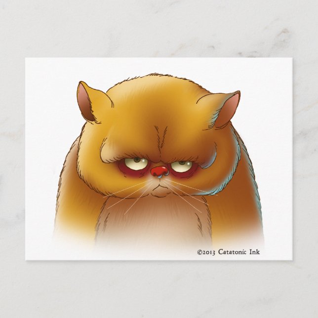 Postal Adorable Kitty Cat (Anverso)