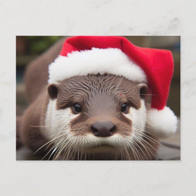 Postal Adorable Otter Santa Hat (Anverso)