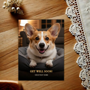 Postal Adorable Pembroke Welsh Corgi Mejora