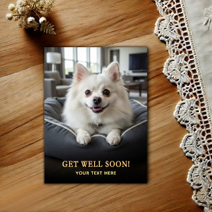 Postal Adorable Pomerania Mejora 