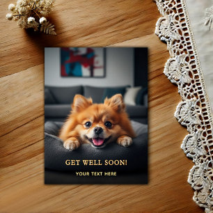 Postal Adorable Pomerania Recupérate