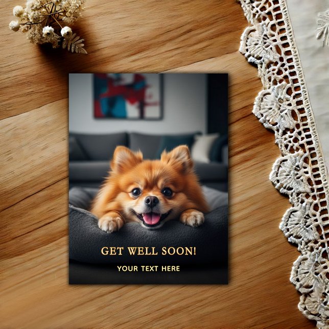Postal Adorable Pomerania Recupérate  (Subido por el creador)