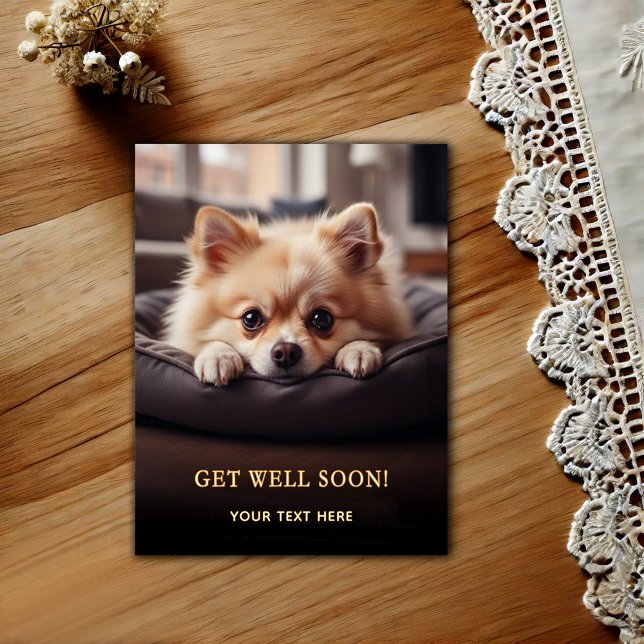 Postal Adorable Pomerania Recupérate  (Subido por el creador)