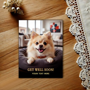 Postal Adorable Pomerania Recupérate 