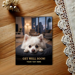 Postal Adorable Pomerania Recupérate 