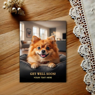 Postal Adorable Pomerania Recupérate 