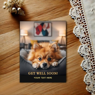 Postal Adorable Pomerania Recupérate 