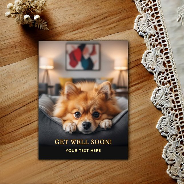 Postal Adorable Pomerania Recupérate  (Subido por el creador)