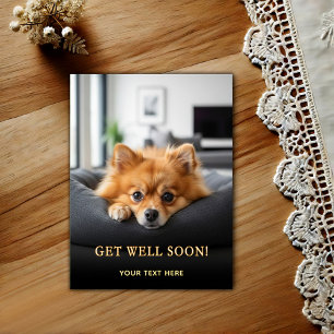 Postal Adorable Pomerania Recupérate