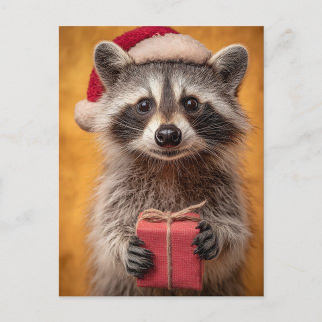 Postal Adorable Raccoon en un Sombrero de Santa que sosti (Anverso)