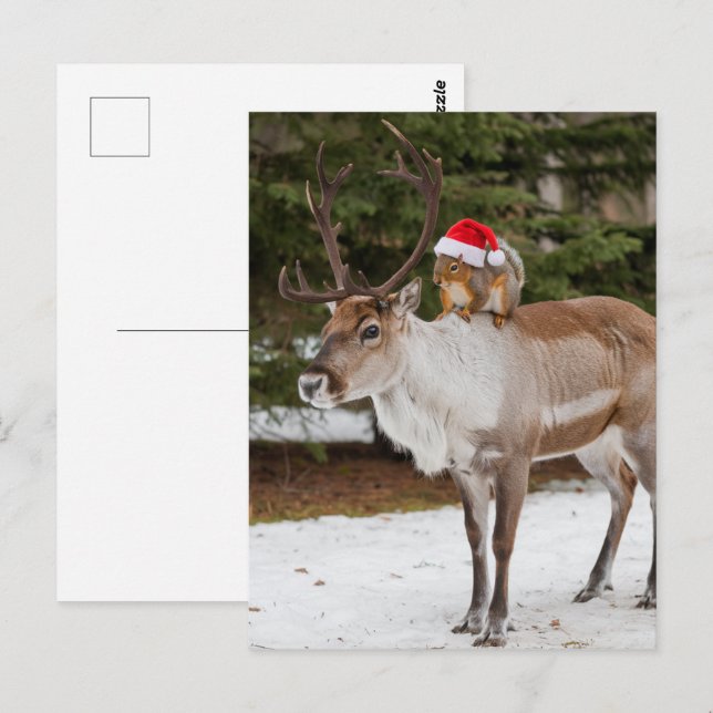 Postal Adorable Santa de la ardilla y la Navidad del reno (Anverso / Reverso)