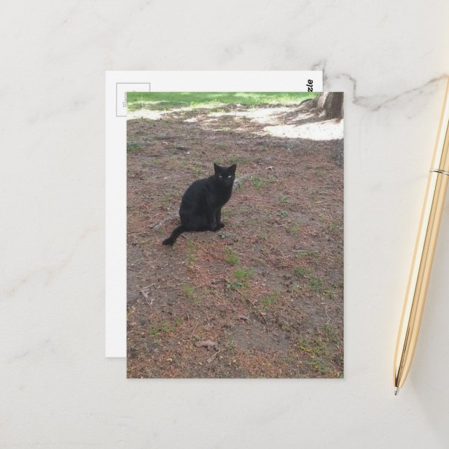 Postal adorable stray black kitty (Anverso/Reverso In Situ)