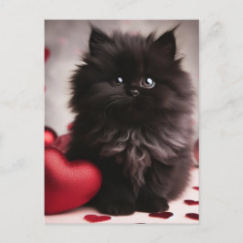 Postal Adorable Valentine Fluffy Black Kitten
