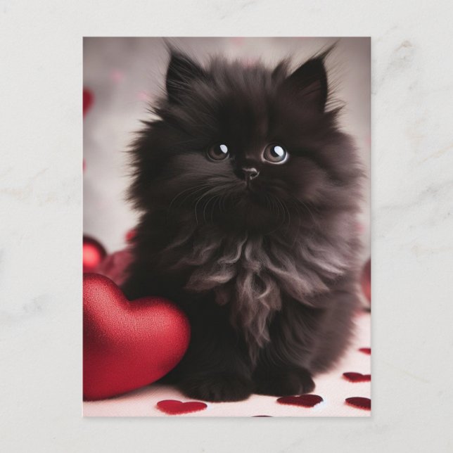 Postal Adorable Valentine Fluffy Black Kitten (Anverso)