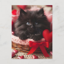 Adorable Valentine Fluffy Black Kitten en la canas