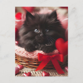 Postal Adorable Valentine Fluffy Black Kitten en la canas