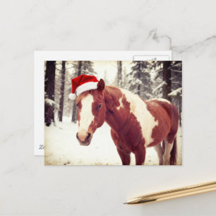 Postal Adorable y lindo caballo de pintura de Navidad