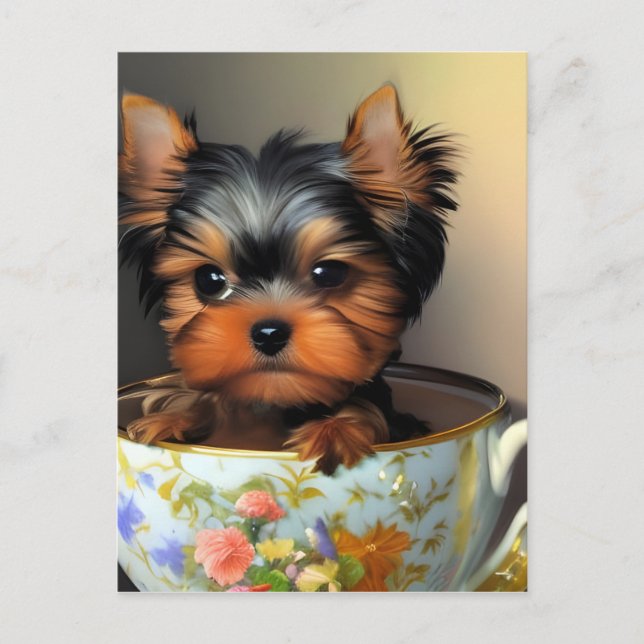 Postal Adorable Yorkie En Una Tacup (Anverso)