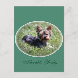 Postal Adorable Yorkie Personalizado Postcard