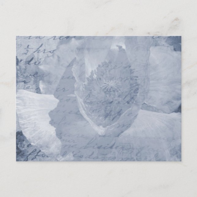 Postal Adormidera 2 (Anverso)