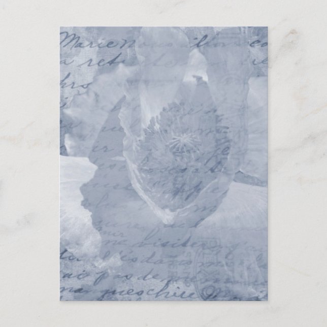 Postal Adormidera 2 (Anverso)