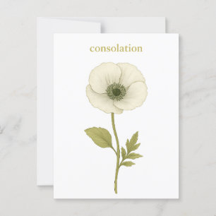 Postal Adormidera (blanca) — Consolación