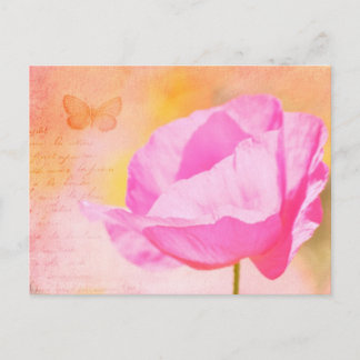 Postal Adormidera rosa islandesa