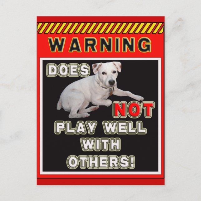 POSTAL ADVERTENCIA JRT - ¡NO JUEGA BIEN CON OTROS! (Anverso)