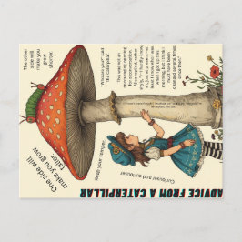 Postal Advice from a Caterpillar Post Card