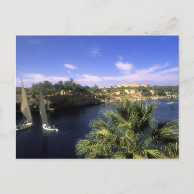 Postal AF, Egipto, Alto Egipto, Asuán. Río Nilo, (Anverso)